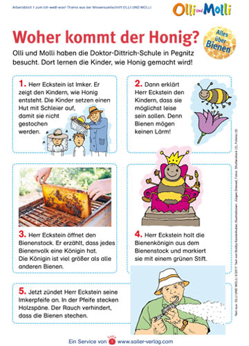 Arbeitsblatt Honig Arbeitsblatt Honig