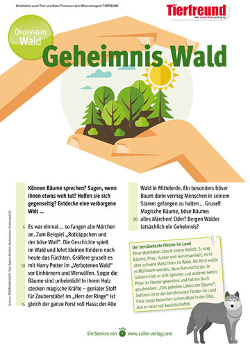 arbeitsblatt-wald-interaktiv Arbeitsblatt Eier färben