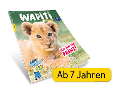 Wapiti (ab 7 Jahren)