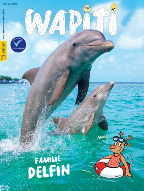 Wapiti 07/2023