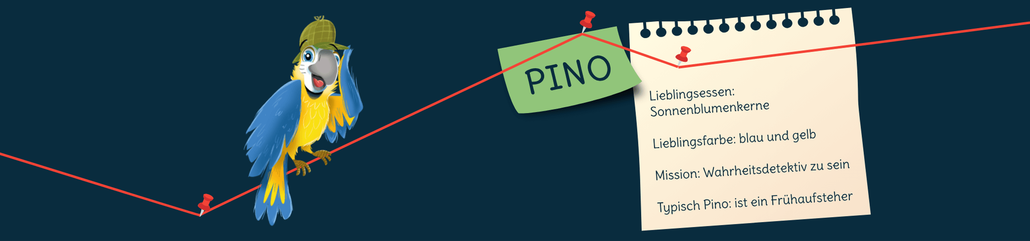 Steckbrief Pino