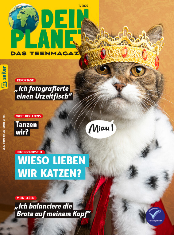 Dein Planet Einzelheft