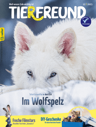 Tierfreund Einzelheft