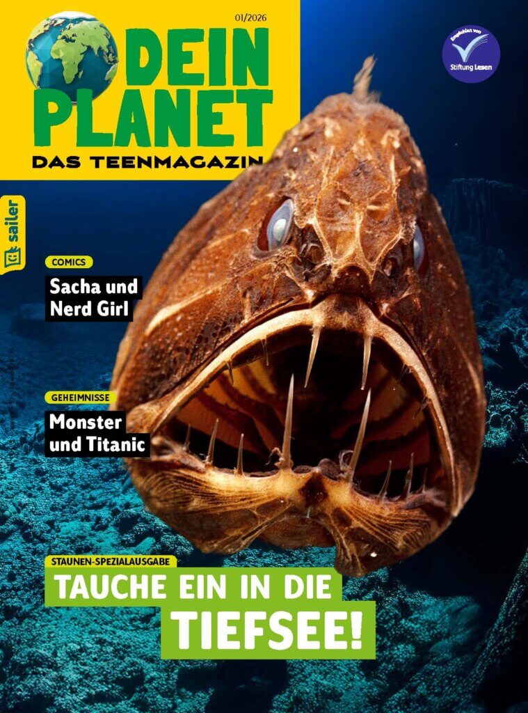 Dein Planet Einzelheft