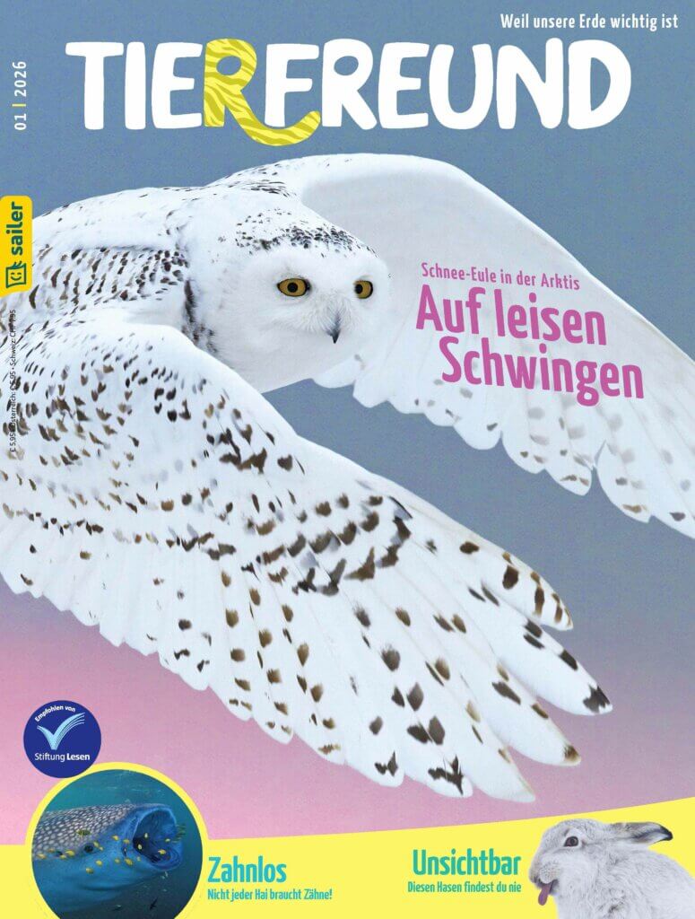 Tierfreund Einzelheft